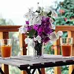 Ayka Hotel Akyaka (Mugla)