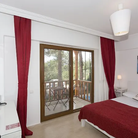 Hotel Ayka *
