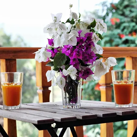 Ayka Hotel Akyaka (Mugla)